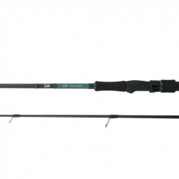 Daiwa 18 Emeraldas Canna da Eging | CentroPescaBrando