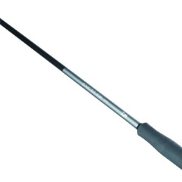 Daiwa 25 Exceler Canna Spinning Mare Fiume Lago |CentroPescaBrando