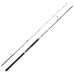 Daiwa 25 Saltist X SJ Canna Shore Jigging Carbonio |CentroPescaBrando