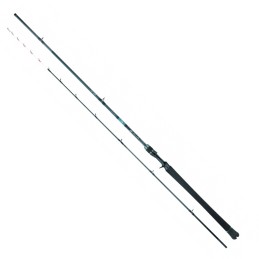 Daiwa 25 Emeraldas Tataki Canna Versione Casting |CentroPescaBrando